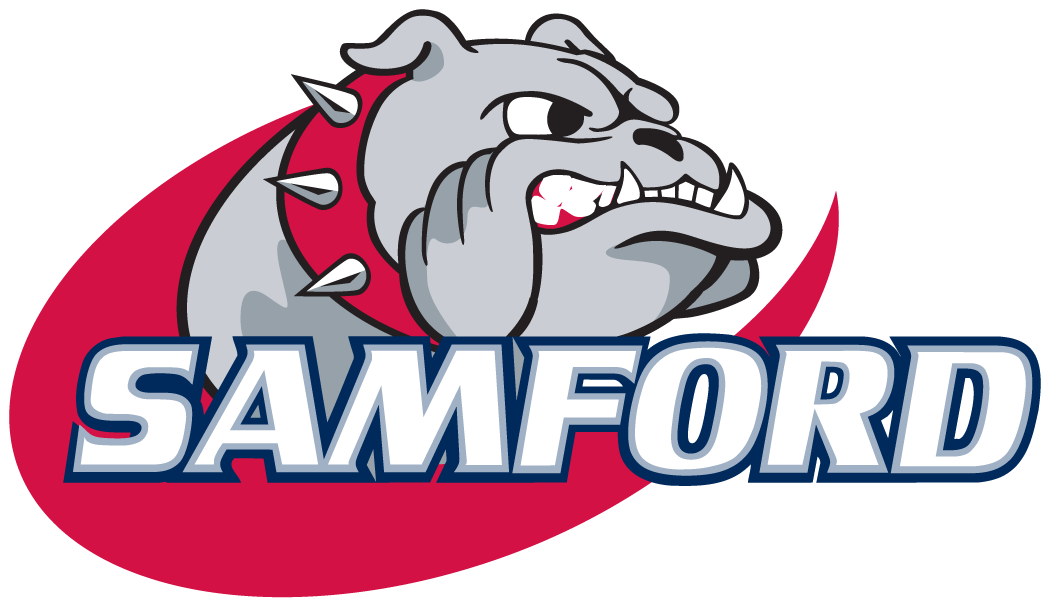 Samford Bulldogs 2000-Pres Alternate Logo v4 DIY iron on transfer (heat transfer)